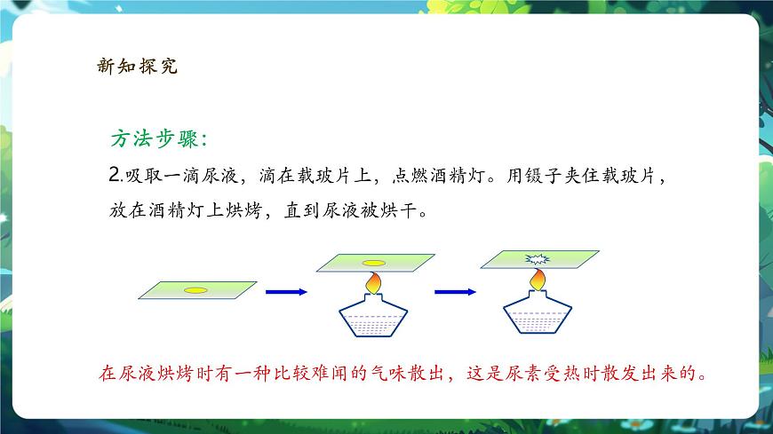 《4.9.1人體產(chǎn)生的代謝廢物》課件第7頁