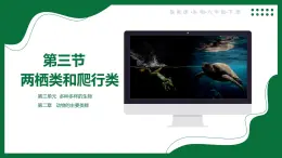 2.3 兩棲類和爬行類（課件）-2024-2025學(xué)年六年級生物下冊（魯科版五四學(xué)制2024）