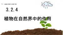 生物七年级下册（2024）植物在自然界中的作用评课ppt课件