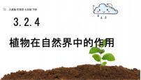 生物七年级下册(2024)植物在自然界中的作用评课ppt课件