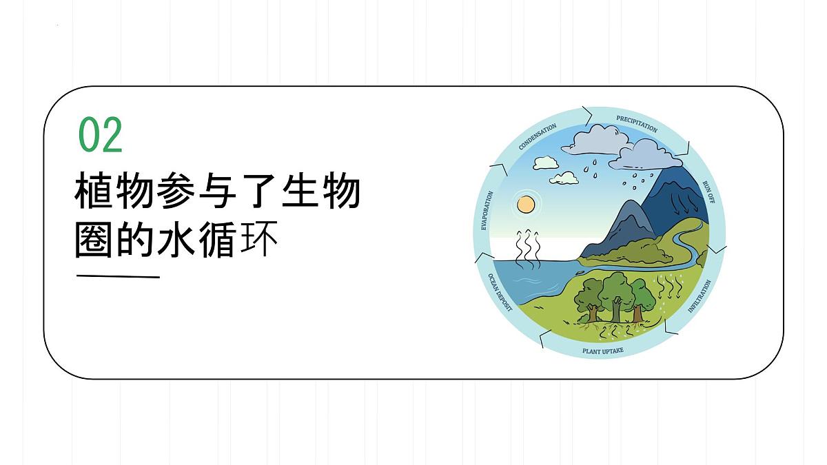 初中 生物 人教版(2024) 七年级下册3.2.4 植物在自然界中的作用 课件第6页