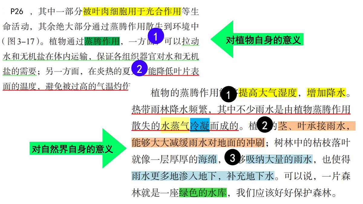 初中 生物 人教版(2024) 七年级下册3.2.4 植物在自然界中的作用 课件第7页