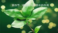 初中生物人教版（2024）七年级下册（2024）植物在自然界中的作用课文课件ppt