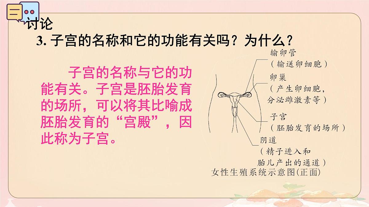 初中 生物 人教版(2024) 七年级下册(2024)第一节 人的生殖 课件第7页