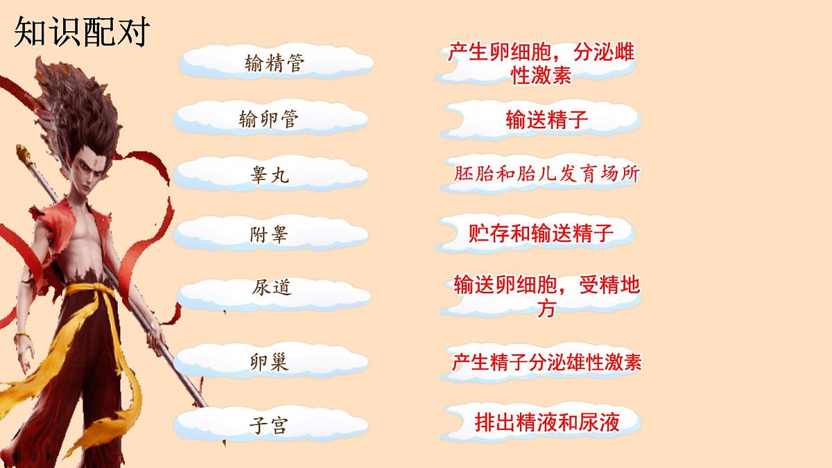初中 生物 人教版(2024) 七年级下册(2024)第一节 人的生殖 课件第8页