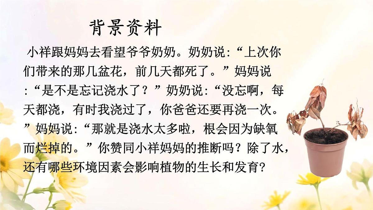 初中 生物 人教版(2024)七年级下册(2024) 第三单元 植物的生活 第二章综合实践项目 栽培一种植物,探究所需的环境条件 课件第2页