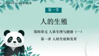 初中生物人教版（2024）七年级下册（2024）人的生殖课文内容ppt课件