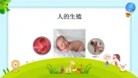 生物七年级下册（2024）人的生殖教学演示课件ppt