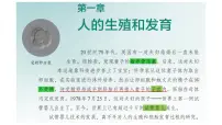 初中生物人教版（2024）七年级下册（2024）人的生殖说课ppt课件