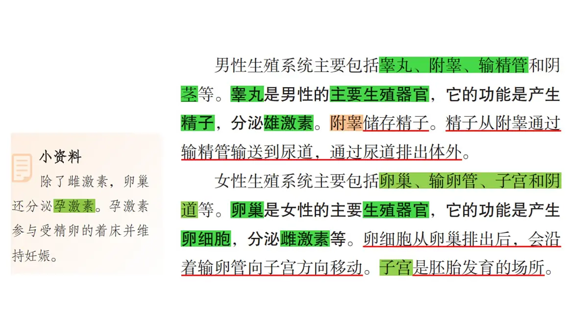 初中 生物 人教版(2024)七年级下册4.1.1 人的生殖 课件第5页