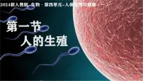 初中生物人教版（2024）七年级下册（2024）人的生殖教学演示ppt课件