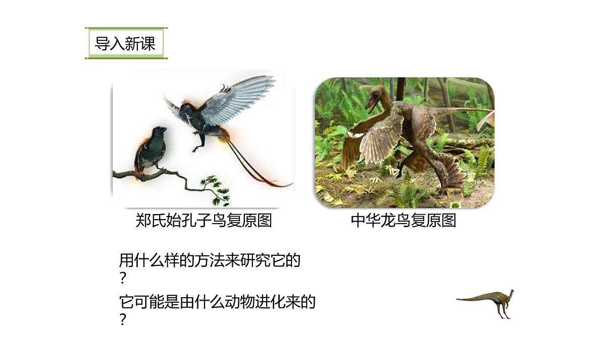 人教版(2024)生物八年级下册7.3.2生物进化的历程课件第2页