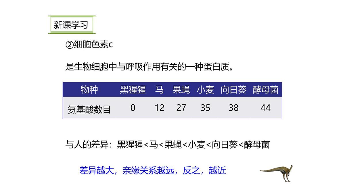 人教版(2024)生物八年级下册7.3.2生物进化的历程课件第5页