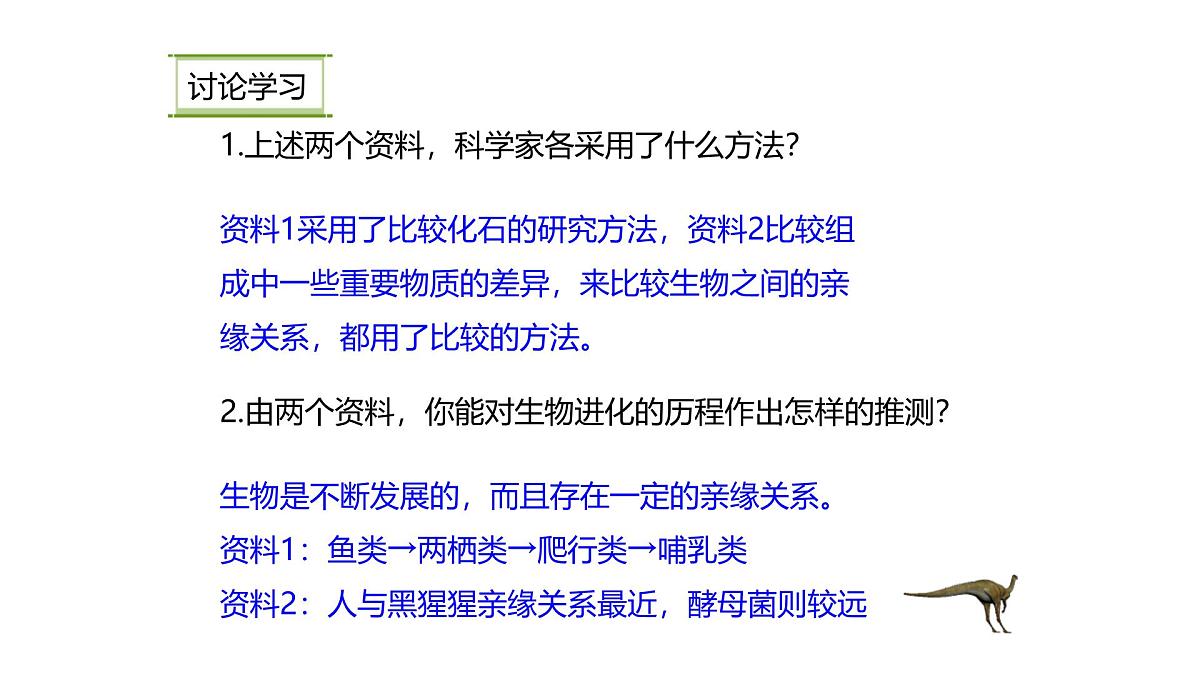 人教版(2024)生物八年级下册7.3.2生物进化的历程课件第6页