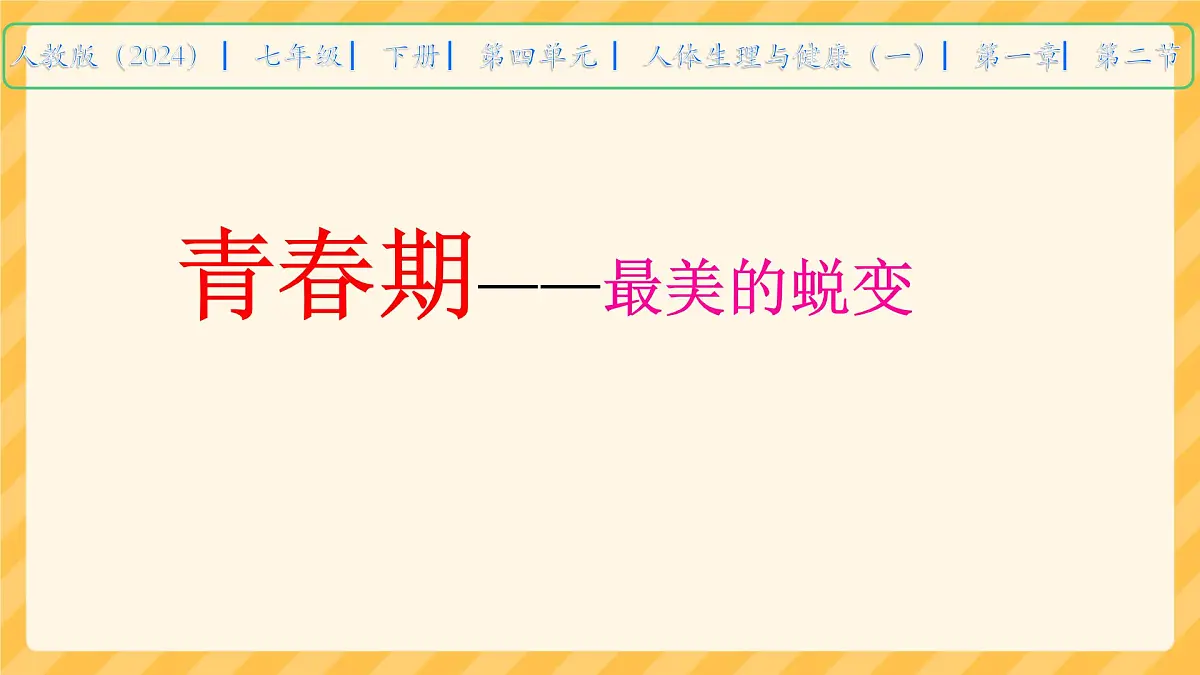 初中 生物 人教版(2024)七年级下册4.1.2 青春期 课件第1页