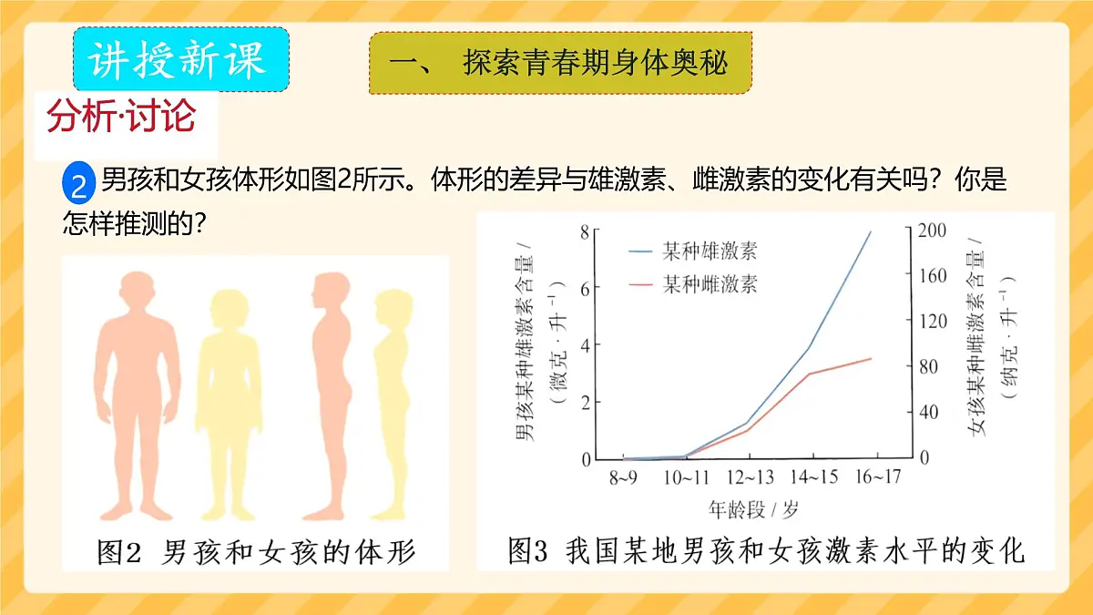 初中 生物 人教版(2024)七年级下册4.1.2 青春期 课件第6页