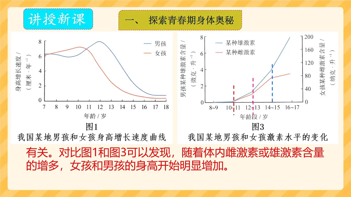 初中 生物 人教版(2024)七年级下册4.1.2 青春期 课件第7页