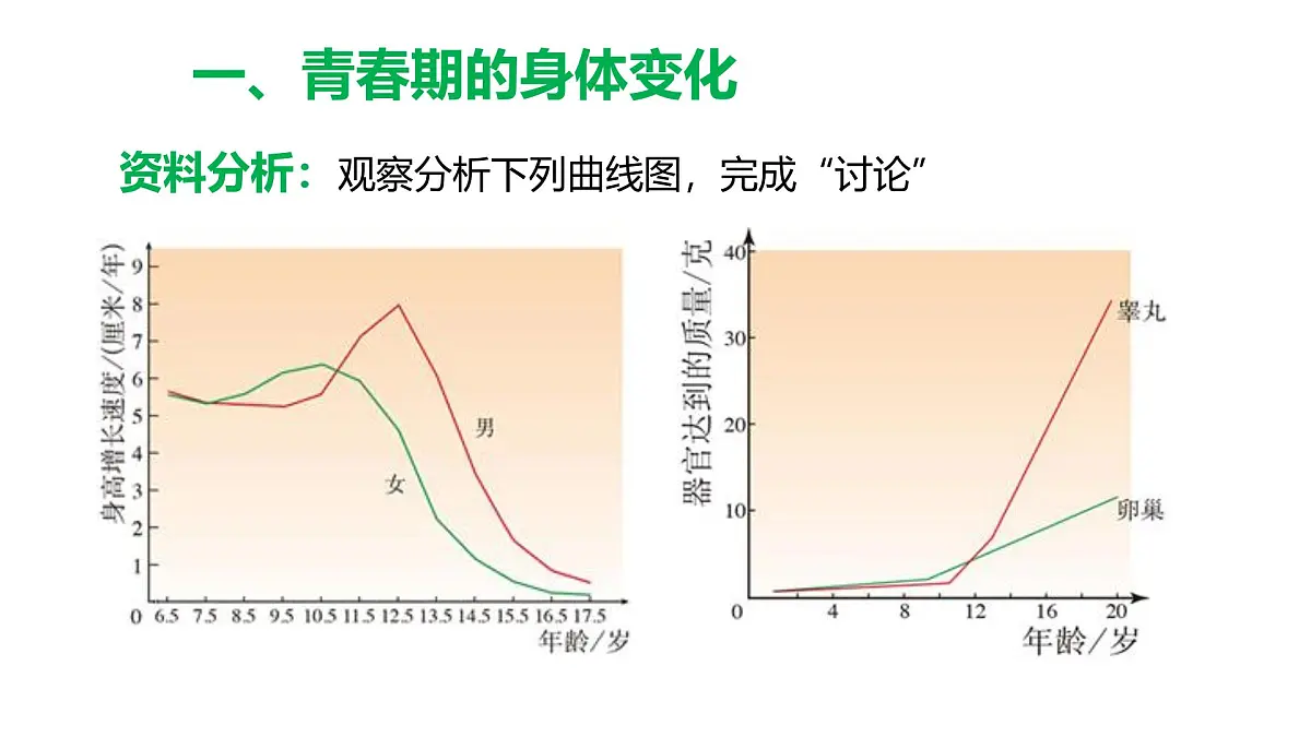 初中 生物 人教版(2024)七年级下册4.1.2 青春期 课件第7页