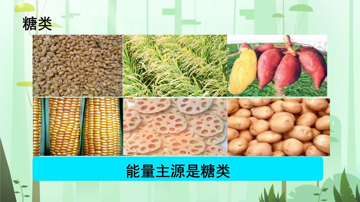 初中 生物 人教版(2024)七年级下册4.2.1 食物中的营养物质 课件第6页