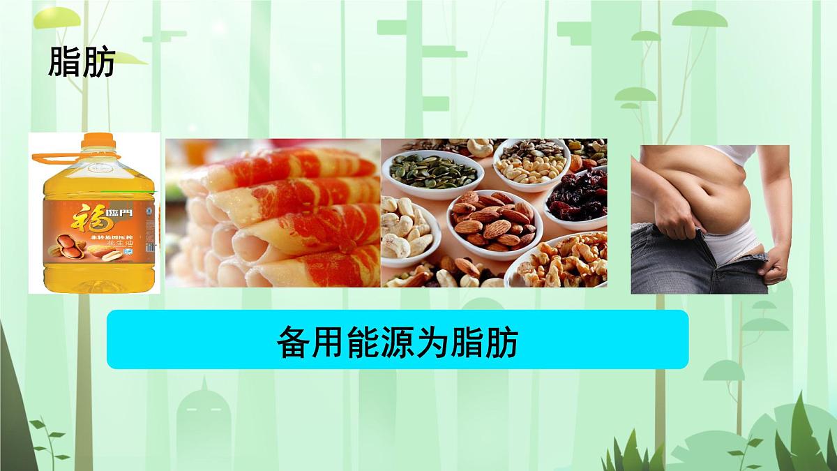 初中 生物 人教版(2024)七年级下册4.2.1 食物中的营养物质 课件第7页