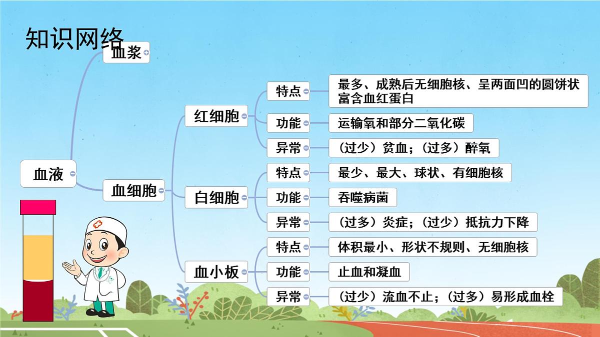 初中 生物 人教版(2024) 七年级下册4.4.2 血流的管道——血管 课件第2页