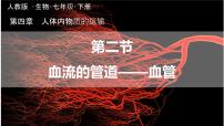 初中生物人教版（2024）七年级下册（2024）血流的管道—血管课文配套课件ppt