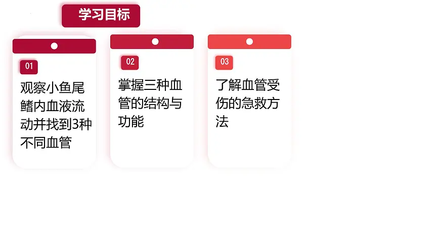 初中 生物 人教版(2024) 七年级下册4.4.2 血流的管道——血管 课件第2页