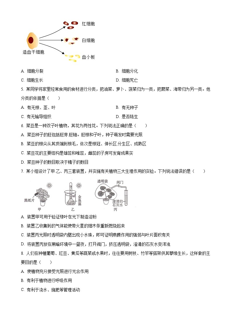 2025年四川省绵阳市涪城区八年级中考一模生物试题(原卷版+解析版)第2页