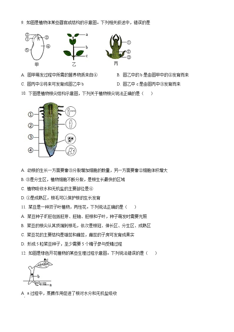 2025年山东省泰安市新泰市中考一模生物试题(原卷版+解析版)第3页