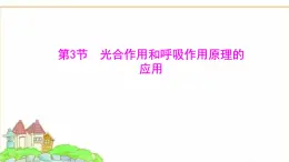 苏教版七年级生物下册第4单元第11章第3节光合作用和呼吸作用原理的应用课件