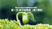 苏教版（2024）种子的萌发授课ppt课件