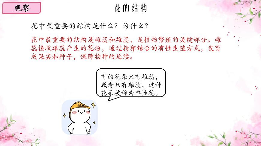 初中  生物  蘇教版（2024）七年級(jí)下冊(cè)4.9.3 植物的繁殖 課件第5頁(yè)