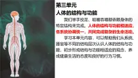 初中消化系统的组成多媒体教学课件ppt
