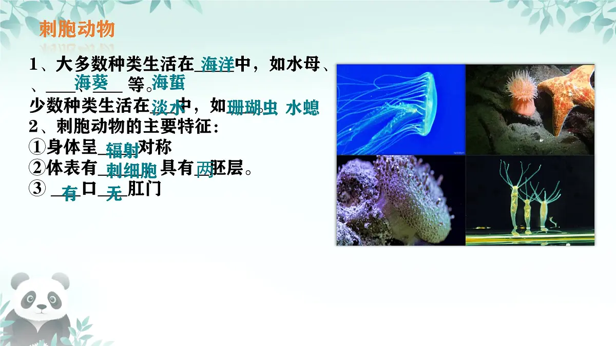 初中 生物 苏科版(2024) 七年级下册4.8.1 无脊椎动物 课件第6页