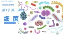 初中生物苏科版（2024）七年级下册（2024）病毒与细菌课文内容ppt课件