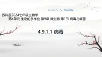 生物七年级下册（2024）病毒与细菌课堂教学课件ppt