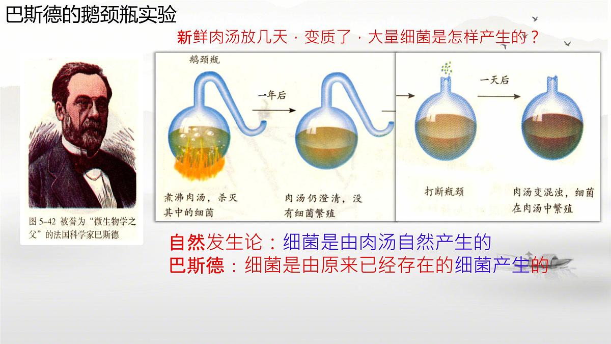 初中 生物 苏科版(2024) 七年级下册4.9.1.2 病毒与细菌 课件第5页
