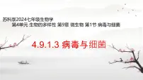生物七年级下册（2024）病毒与细菌说课课件ppt