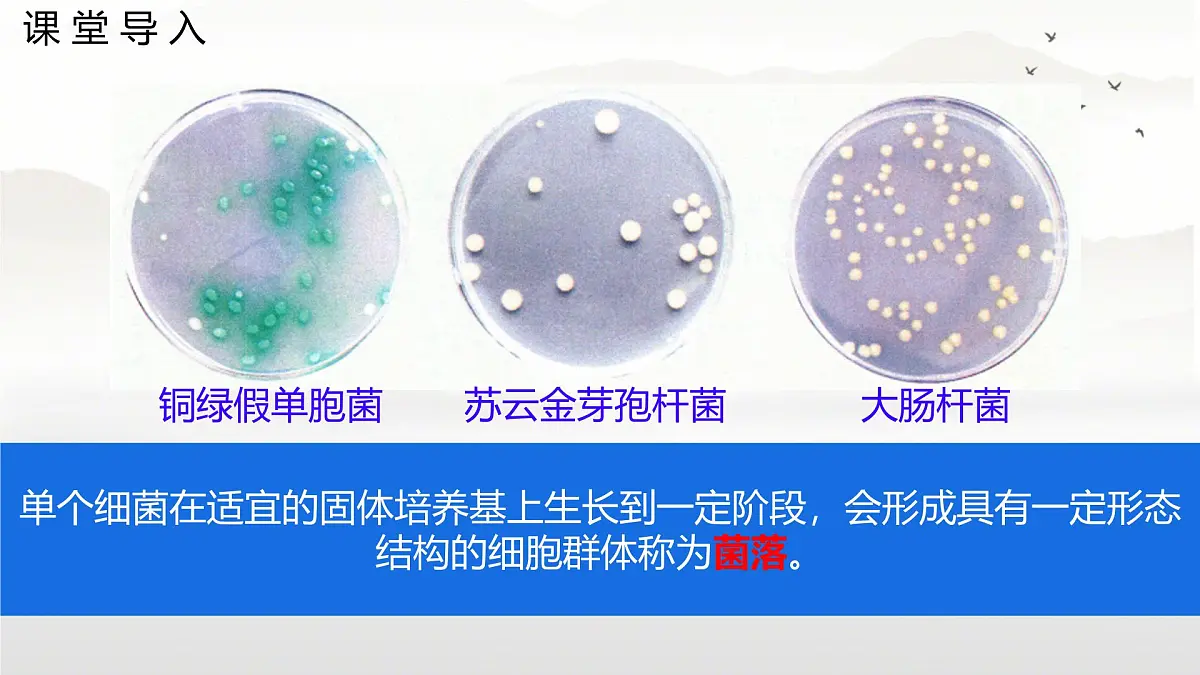 初中 生物 苏科版(2024) 七年级下册4.9.1.3 病毒与细菌 课件第3页