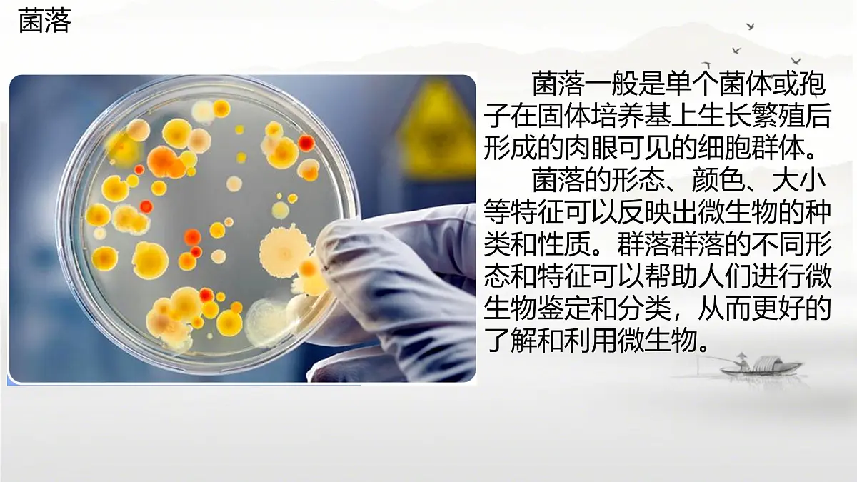 初中 生物 苏科版(2024) 七年级下册4.9.1.3 病毒与细菌 课件第4页