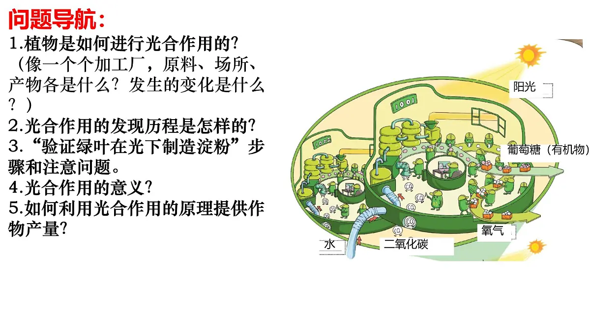 初中 生物 济南版(2024)七年级下册3.1.3 植物通过光合作用固定光能 (第一课时)课件第4页