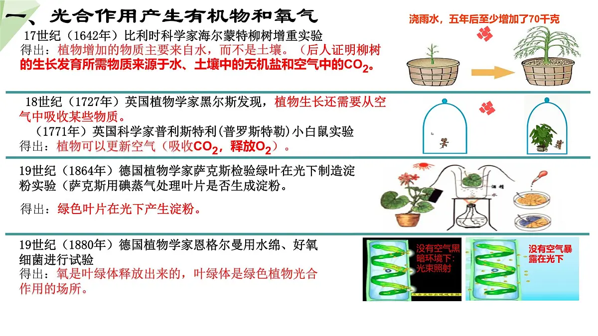 初中 生物 济南版(2024)七年级下册3.1.3 植物通过光合作用固定光能 (第一课时)课件第7页