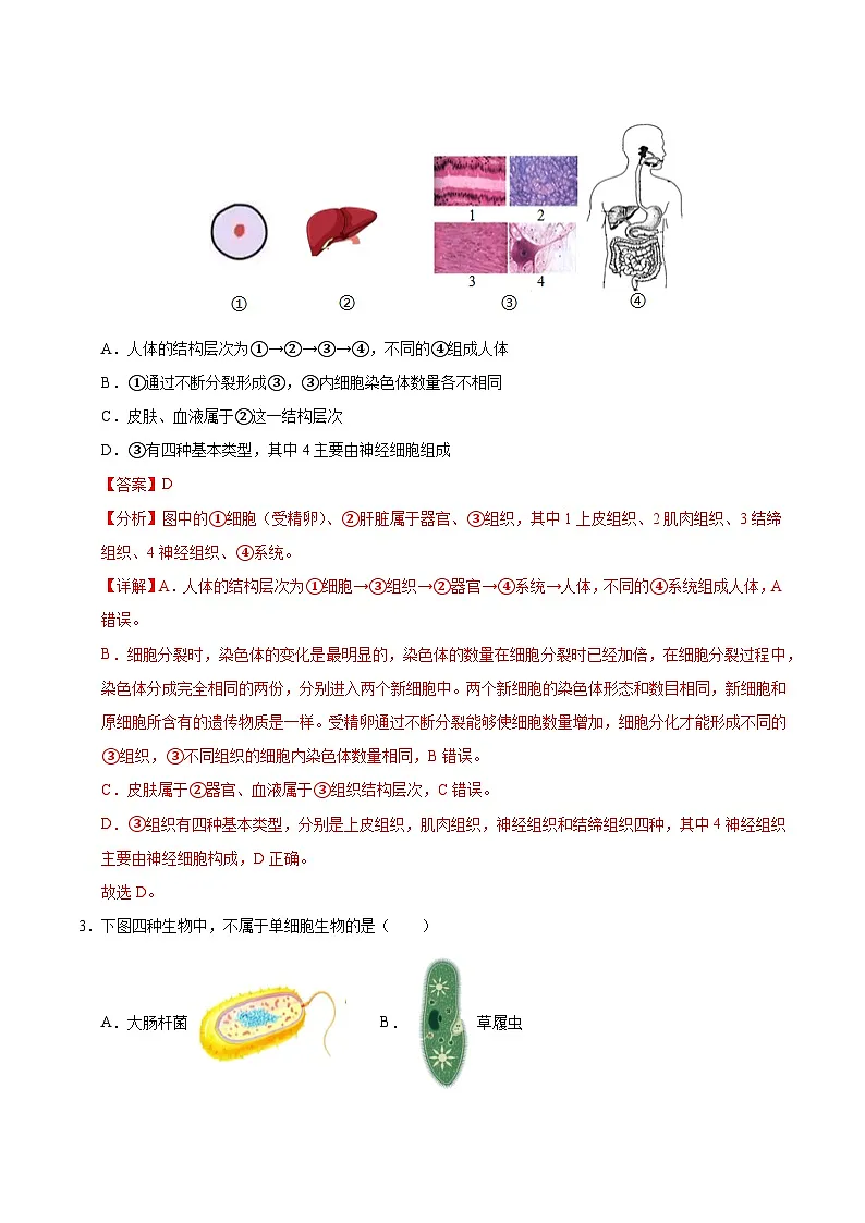 2025年中考第一次模拟考试卷:生物(河北卷)(解析版)第2页