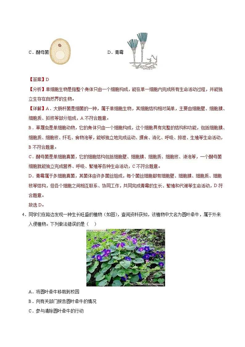 2025年中考第一次模拟考试卷:生物(河北卷)(解析版)第3页