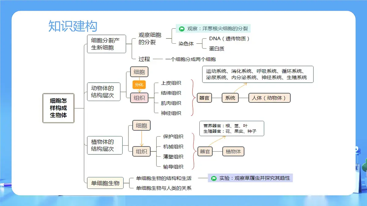 专题03 细胞怎样构成生物体(课件)-2025年中考生物一轮复习第6页