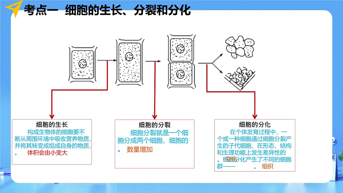 专题03 细胞怎样构成生物体(课件)-2025年中考生物一轮复习第8页
