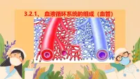 冀少版(2024)七年级下册(2024)血液授课课件ppt