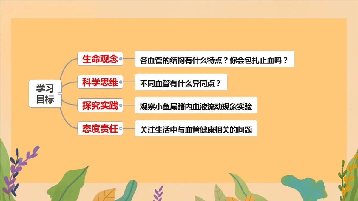 初中 生物 冀少版(2024) 七年级下册3.2.1.2 血液循环系统的组成 课件第3页