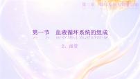 初中生物冀少版（2024）七年级下册（2024）血液评课ppt课件