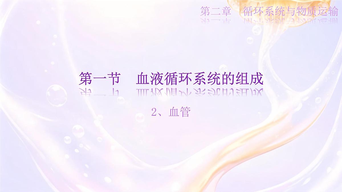 初中 生物 冀少版(2024) 七年级下册3.2.1.2血液循环系统的组成 课件第1页